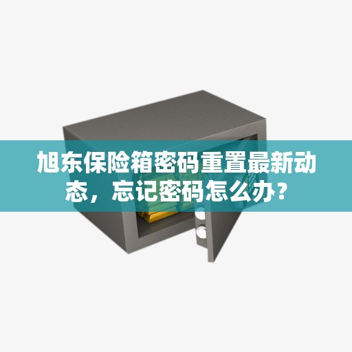 旭东保险箱密码重置最新动态，忘记密码怎么办？