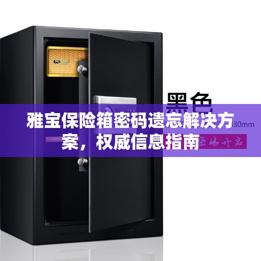 雅宝保险箱密码遗忘解决方案，权威信息指南
