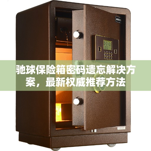 驰球保险箱密码遗忘解决方案，最新权威推荐方法