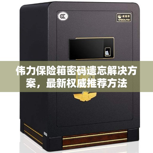 伟力保险箱密码遗忘解决方案，最新权威推荐方法