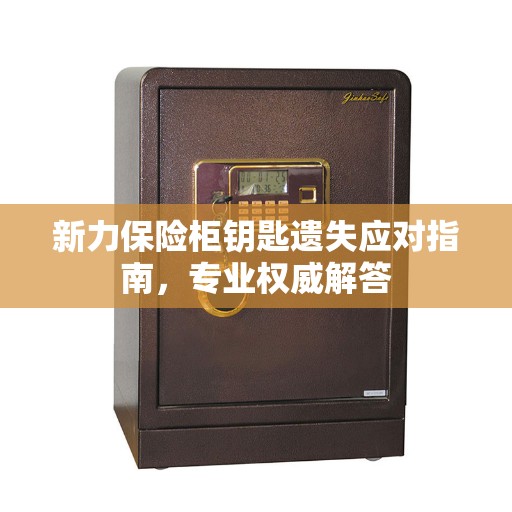 新力保险柜钥匙遗失应对指南，专业权威解答
