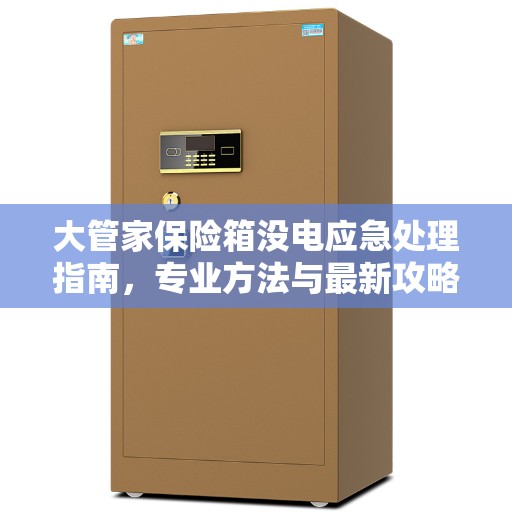 大管家保险箱没电应急处理指南，专业方法与最新攻略