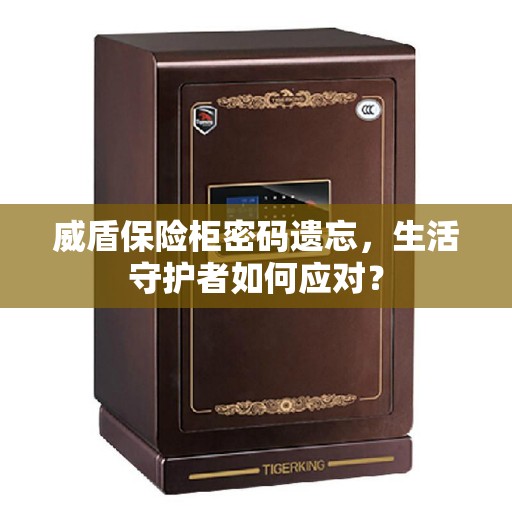威盾保险柜密码遗忘，生活守护者如何应对？