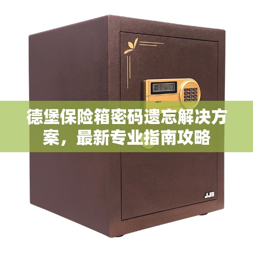 德堡保险箱密码遗忘解决方案，最新专业指南攻略