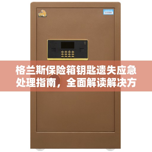 格兰斯保险箱钥匙遗失应急处理指南，全面解读解决方案