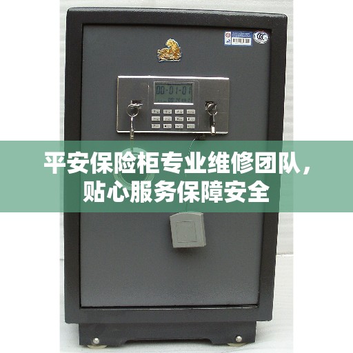 平安保险柜专业维修团队，贴心服务保障安全