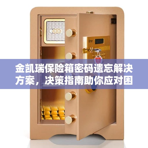 金凯瑞保险箱密码遗忘解决方案，决策指南助你应对困境