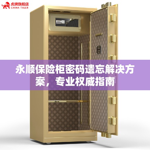 永顺保险柜密码遗忘解决方案，专业权威指南