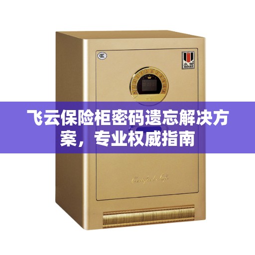 飞云保险柜密码遗忘解决方案，专业权威指南