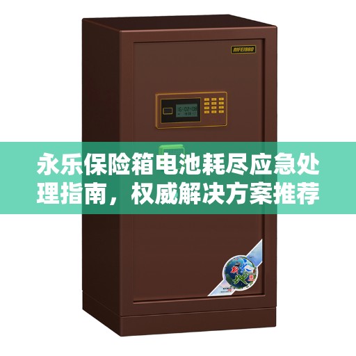 永乐保险箱电池耗尽应急处理指南，权威解决方案推荐