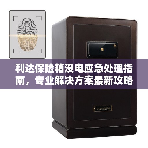 利达保险箱没电应急处理指南，专业解决方案最新攻略