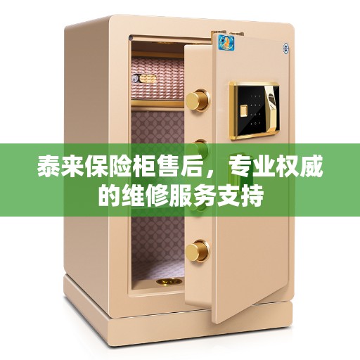泰来保险柜售后，专业权威的维修服务支持