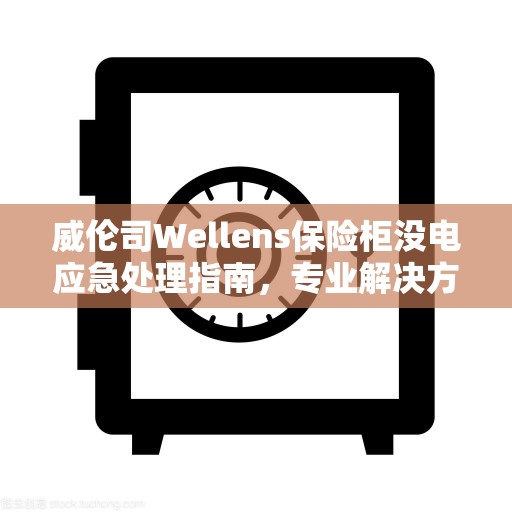 威伦司Wellens保险柜没电应急处理指南，专业解决方案与最新攻略