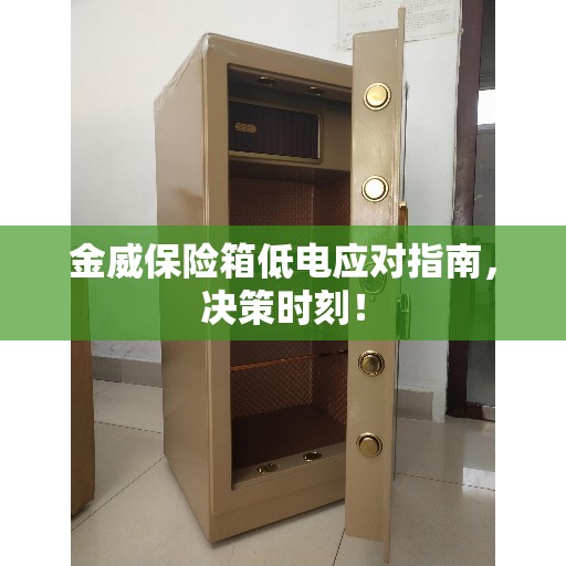 金威保险箱低电应对指南，决策时刻！