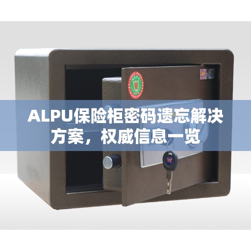ALPU保险柜密码遗忘解决方案，权威信息一览
