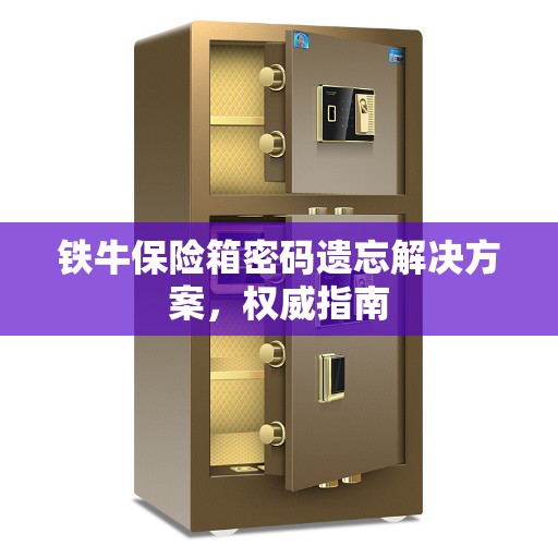 铁牛保险箱密码遗忘解决方案，权威指南