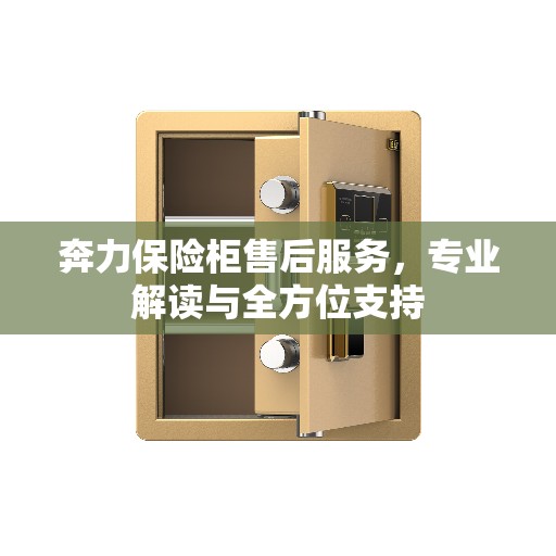 奔力保险柜售后服务，专业解读与全方位支持