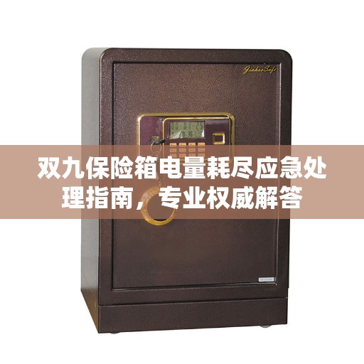 双九保险箱电量耗尽应急处理指南，专业权威解答
