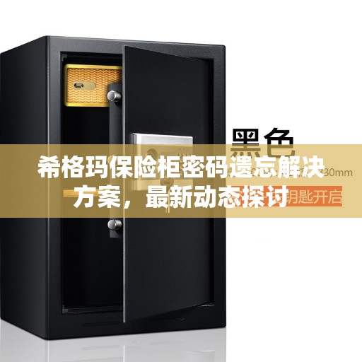 希格玛保险柜密码遗忘解决方案，最新动态探讨