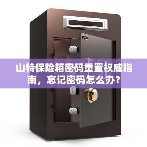 山特保险箱密码重置权威指南，忘记密码怎么办？