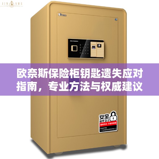 欧奈斯保险柜钥匙遗失应对指南，专业方法与权威建议