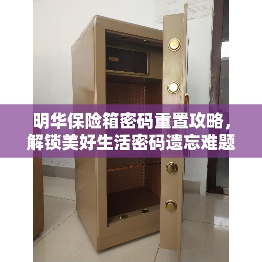明华保险箱密码重置攻略,解锁美好生活密码遗忘难题 明华保险箱密码重置攻略,解锁美好生活密码遗忘难题