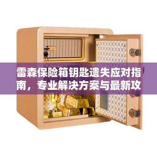 雷森保险箱钥匙遗失应对指南，专业解决方案与最新攻略