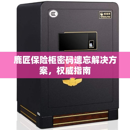 鹿匠保险柜密码遗忘解决方案，权威指南