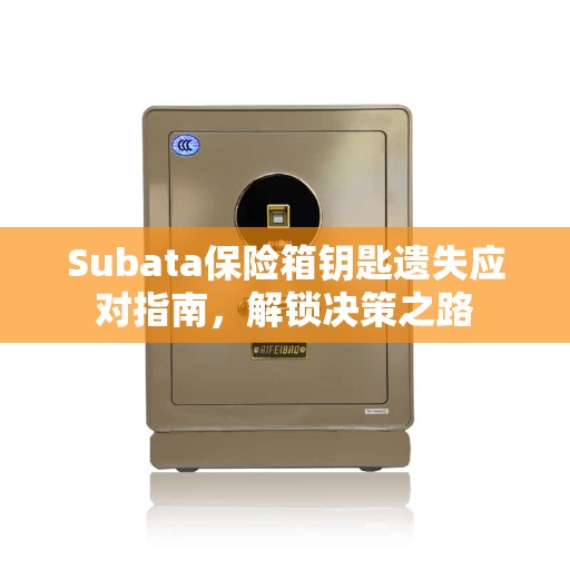 Subata保险箱钥匙遗失应对指南，解锁决策之路