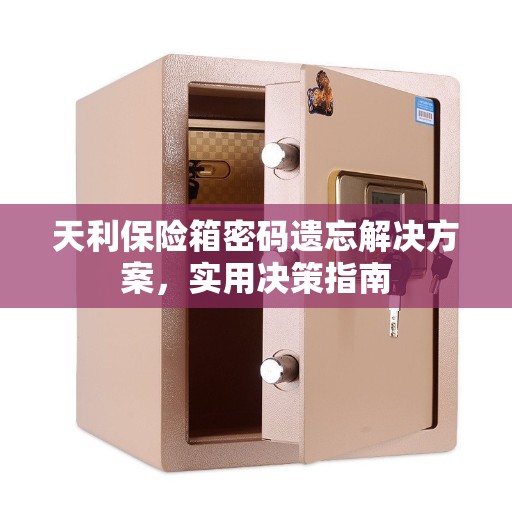 天利保险箱密码遗忘解决方案，实用决策指南