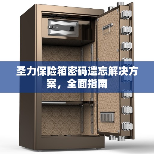 圣力保险箱密码遗忘解决方案，全面指南