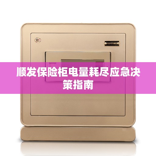 顺发保险柜电量耗尽应急决策指南