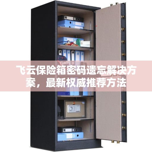 飞云保险箱密码遗忘解决方案，最新权威推荐方法