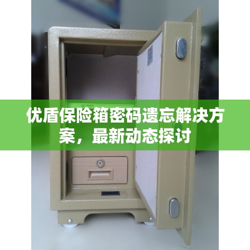 优盾保险箱密码遗忘解决方案，最新动态探讨