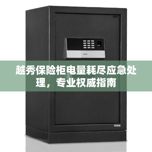 越秀保险柜电量耗尽应急处理，专业权威指南