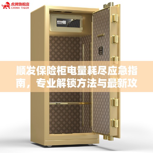 顺发保险柜电量耗尽应急指南，专业解锁方法与最新攻略