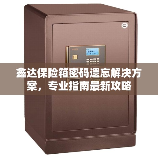 鑫达保险箱密码遗忘解决方案，专业指南最新攻略