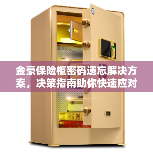 金豪保险柜密码遗忘解决方案，决策指南助你快速应对