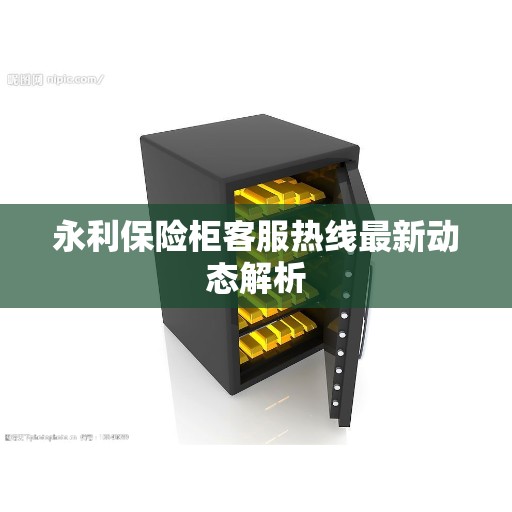 永利保险柜客服热线最新动态解析