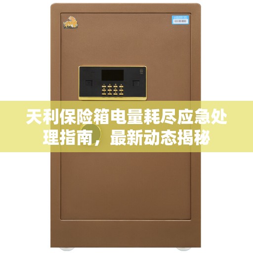 天利保险箱电量耗尽应急处理指南，最新动态揭秘