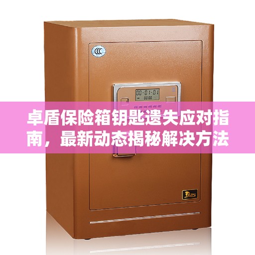 卓盾保险箱钥匙遗失应对指南，最新动态揭秘解决方法