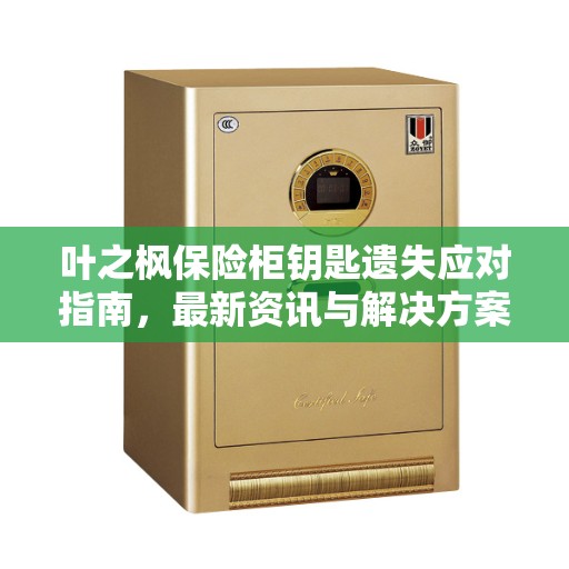 叶之枫保险柜钥匙遗失应对指南，最新资讯与解决方案