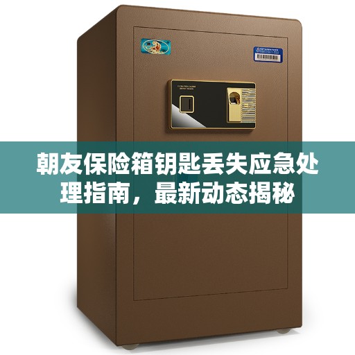 朝友保险箱钥匙丢失应急处理指南，最新动态揭秘