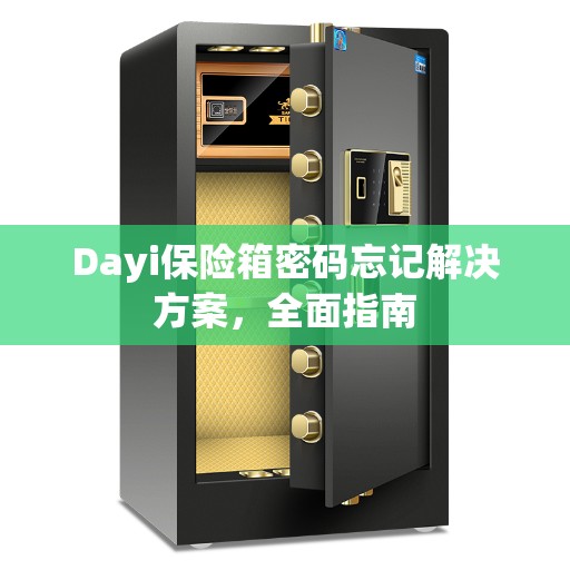 Dayi保险箱密码忘记解决方案，全面指南