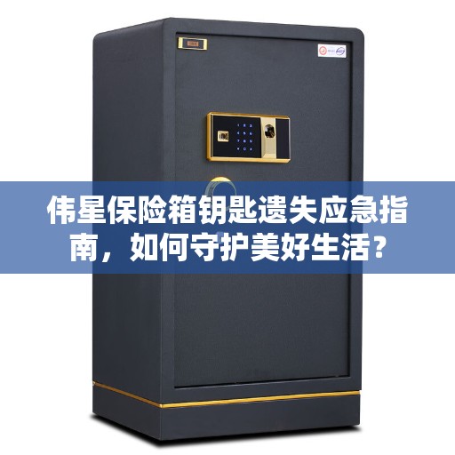 伟星保险箱钥匙遗失应急指南，如何守护美好生活？