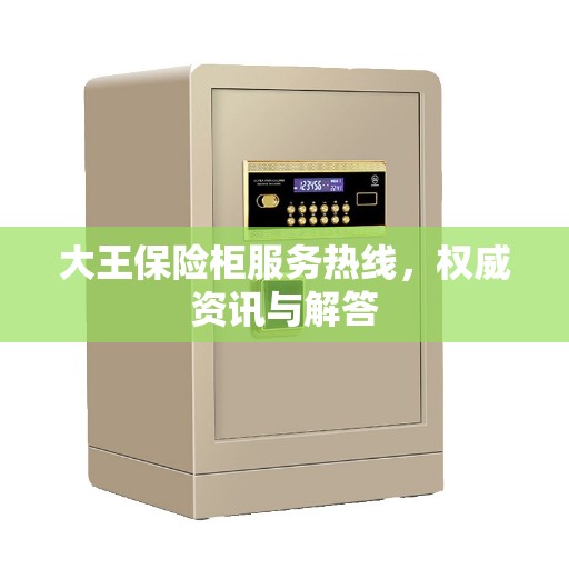大王保险柜服务热线，权威资讯与解答