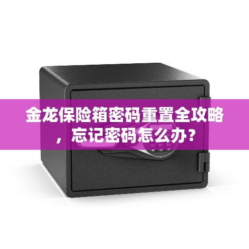 金龙保险箱密码重置全攻略，忘记密码怎么办？