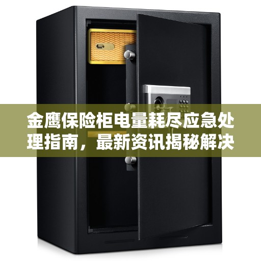 金鹰保险柜电量耗尽应急处理指南，最新资讯揭秘解决方案