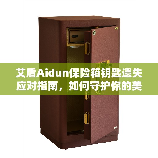 艾盾Aidun保险箱钥匙遗失应对指南，如何守护你的美好生活？