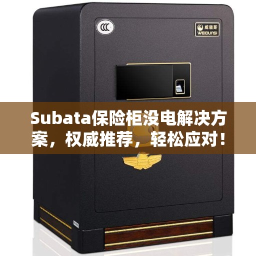 Subata保险柜没电解决方案，权威推荐，轻松应对！